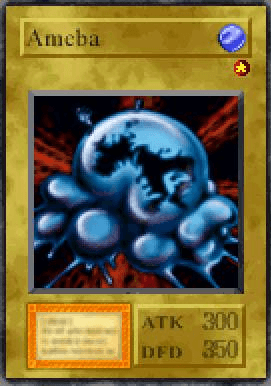 Ameba