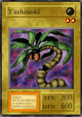 Yashinoki